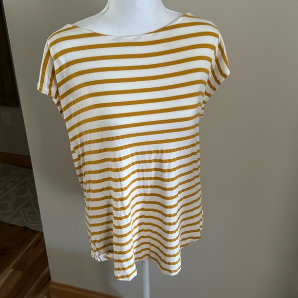 Green Envelope Tops Green Envelope Gold Striped Top Poshmark